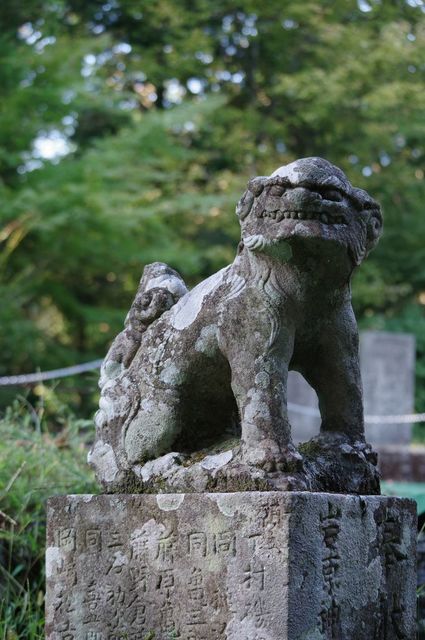 IMGP5091小.jpg