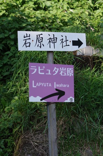 IMGP5108小.jpg