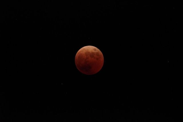 IMGP5370小.jpg