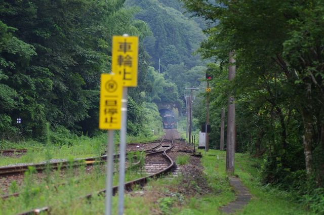 IMGP6286小.jpg