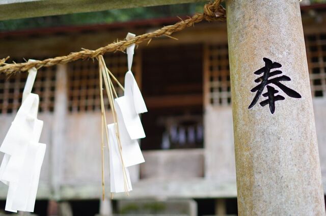 IMGP7119小.jpg