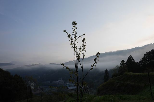 P1000605小.jpg