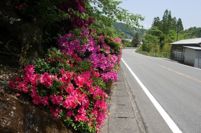 P1000755小.jpg
