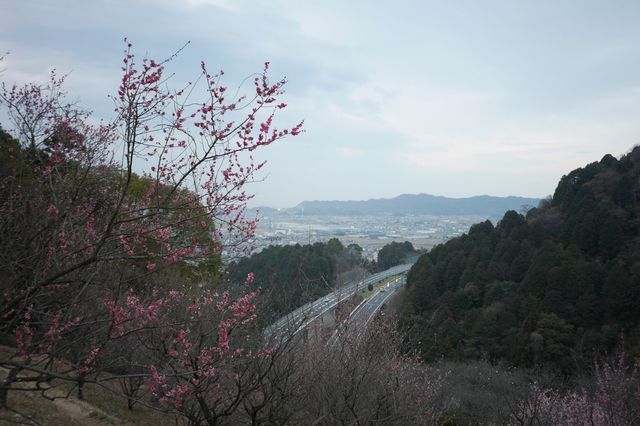 P1010708小.jpg
