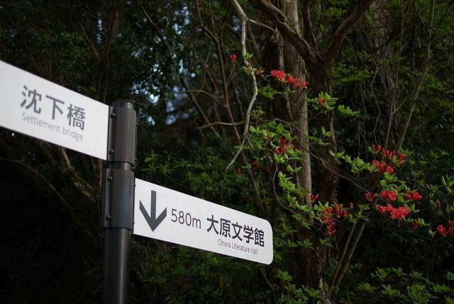 P1020113小2.jpg
