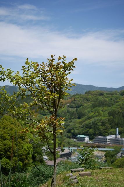 P1020730小.jpg