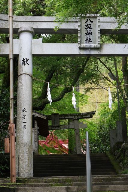 P1030078小.jpg