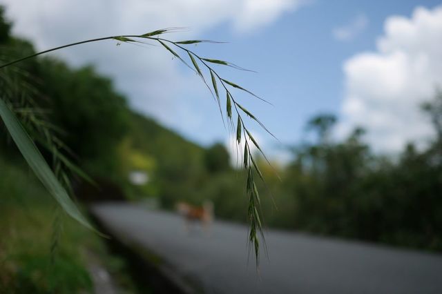 P1030226小.jpg