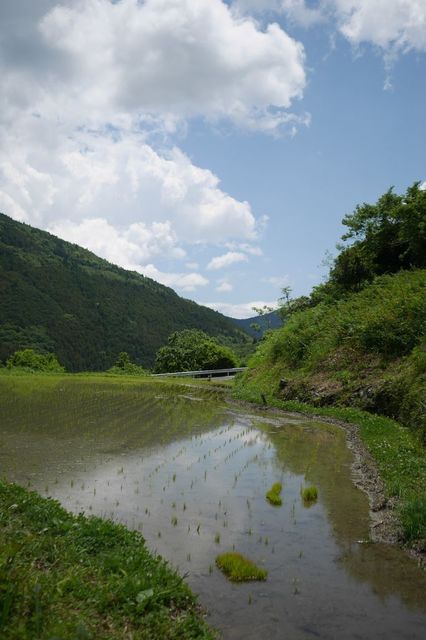P1030235小.jpg