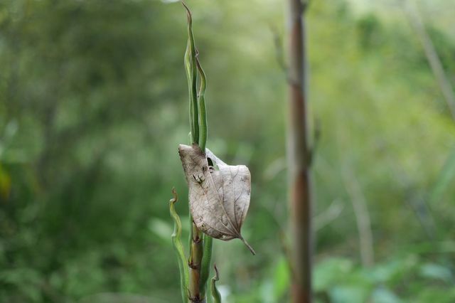 P1030242小.jpg