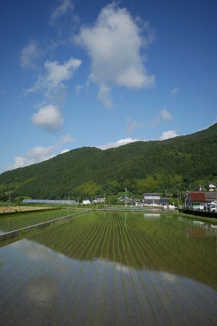 P1030470小.jpg