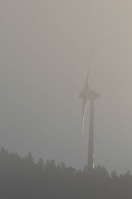 P1040978中.jpg