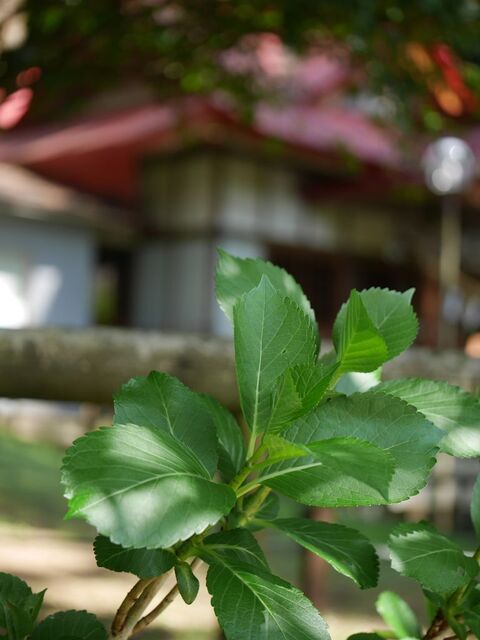 P1050303小.jpg