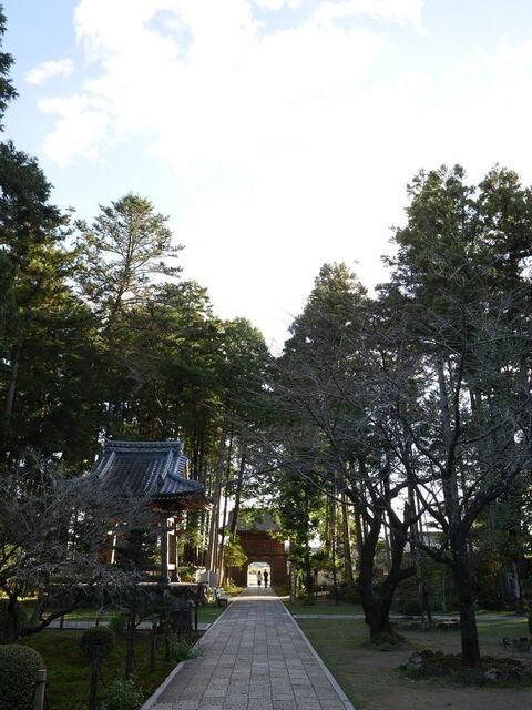 P1060724小.jpg