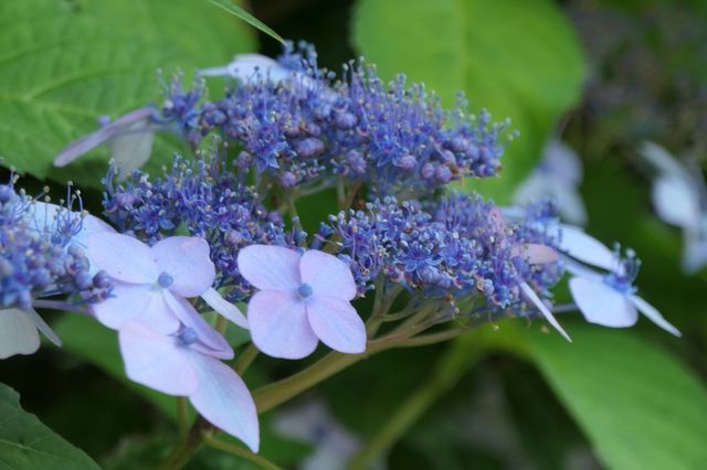 PTX_0310小.jpg