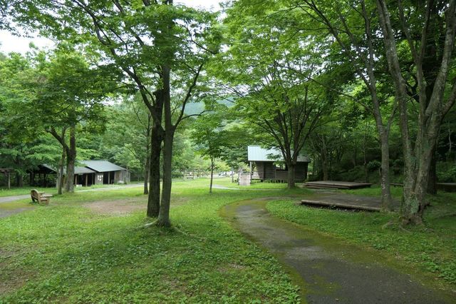 PTX_0338小.jpg