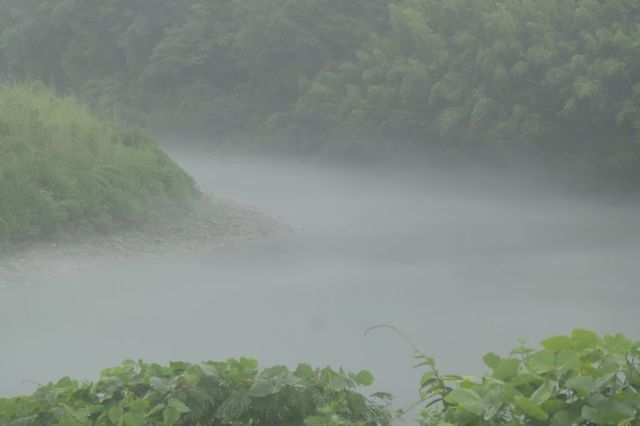 PTX_0475小.jpg