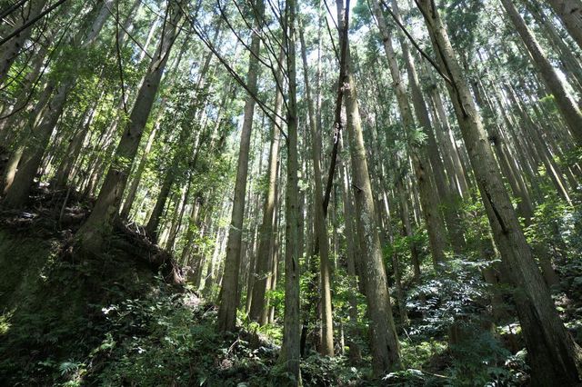 PTX_0620小.jpg