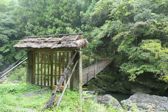 PTX_0641小.jpg