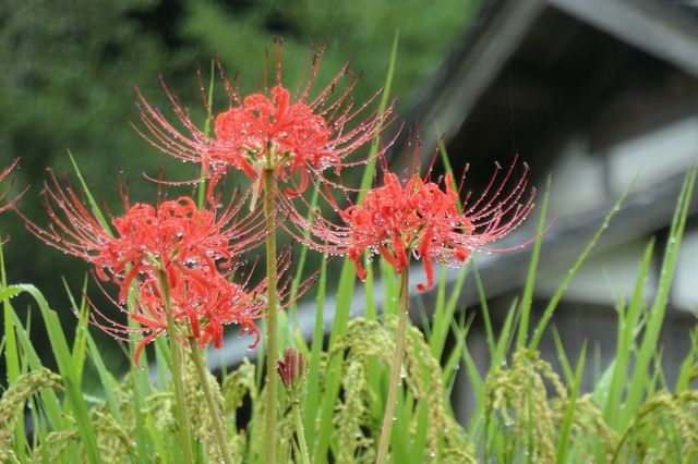 PTX_0652小.jpg