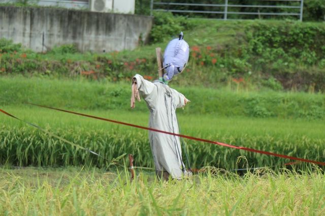 PTX_0691小.jpg