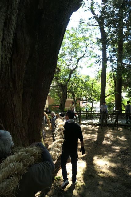 PTX_0980小.jpg