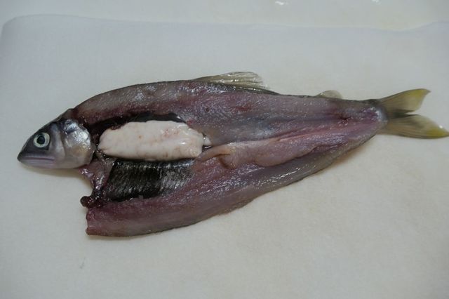 PTX_1047小.jpg
