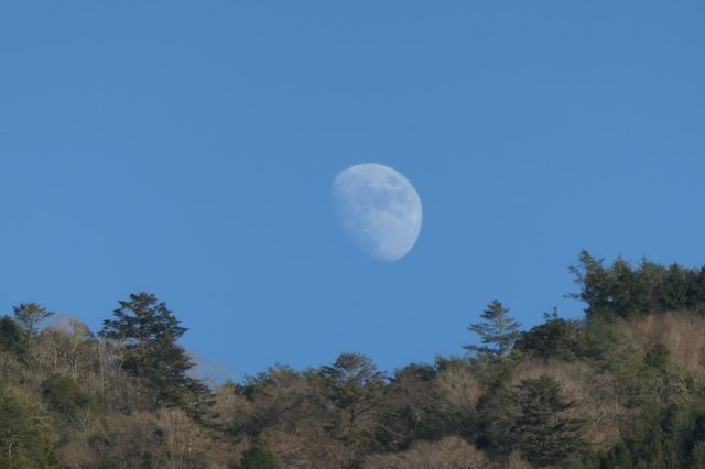 PTX_1176小.jpg