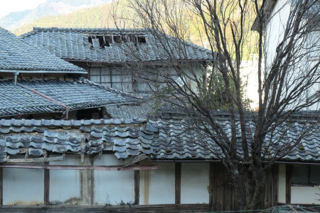 PTX_1287小.jpg