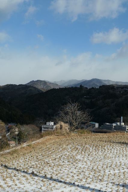 PTX_1308小.jpg