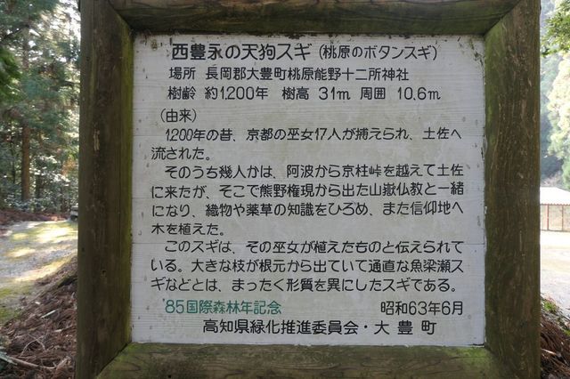 PTX_1426小.jpg