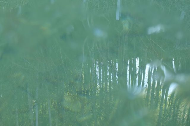 PTX_1600小.jpg