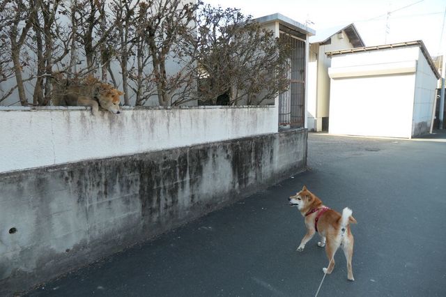 PTX_1648小.jpg