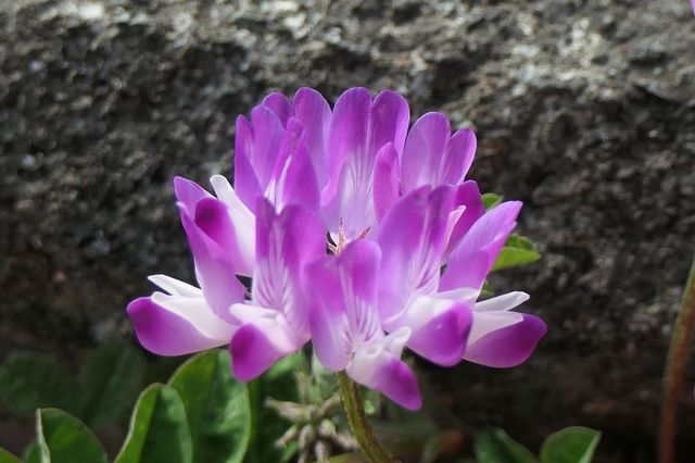PTX_1767小.jpg