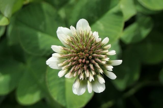 PTX_1781小.jpg