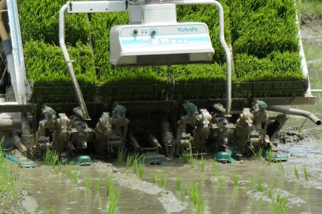 PTX_1968小.jpg