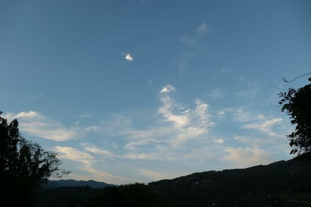 PTX_2089小.jpg