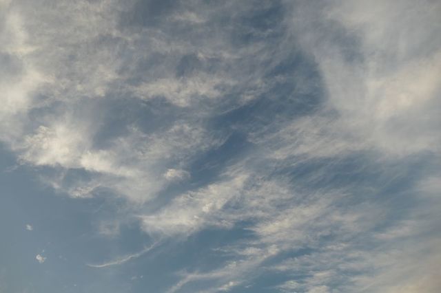 PTX_2113小.jpg