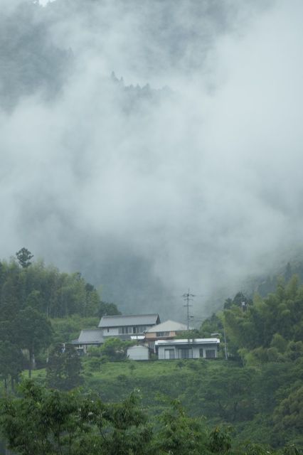 PTX_2227小.jpg