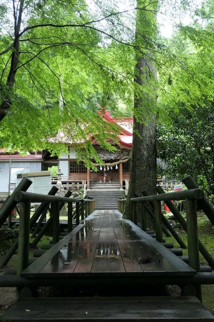 PTX_2550小.jpg