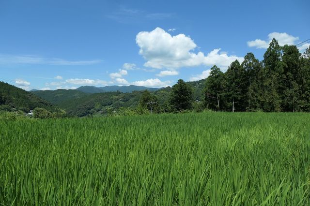 PTX_2651小.jpg