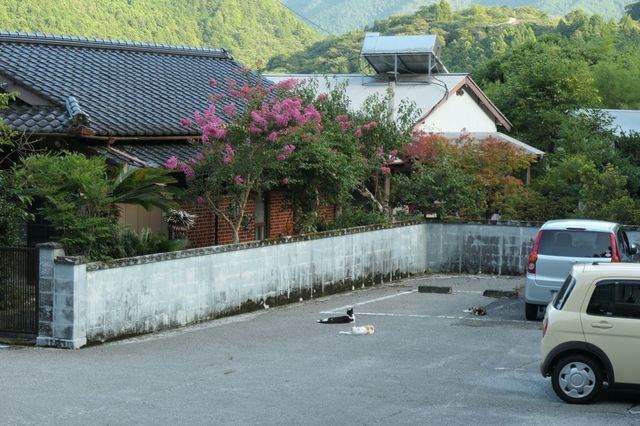 PTX_2805小.jpg