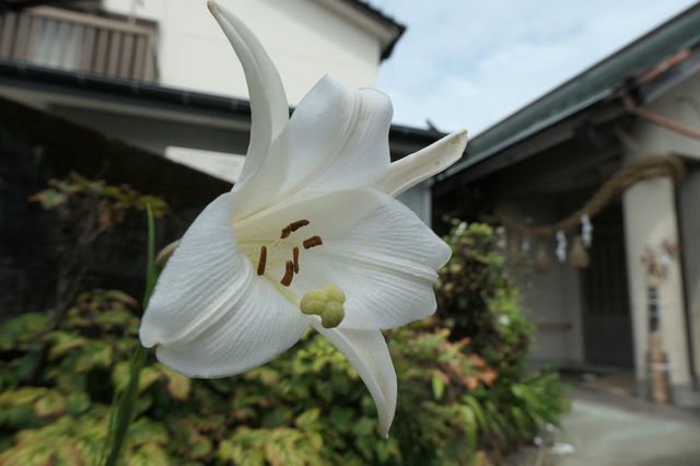 PTX_2827小.jpg