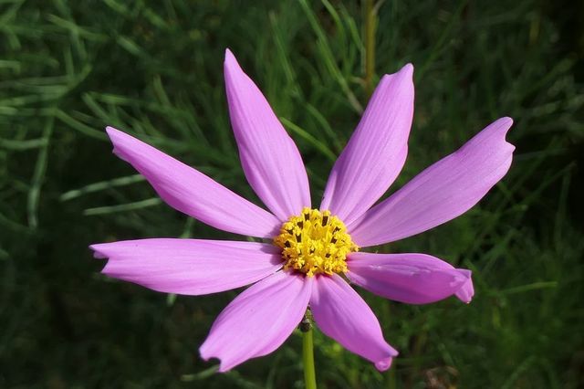 PTX_2854小.jpg