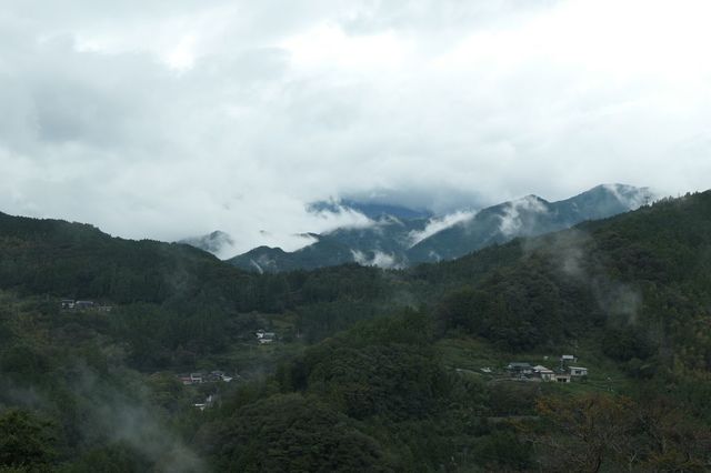 PTX_3392小.jpg