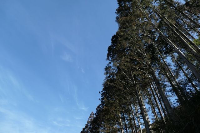 PTX_3560小.jpg