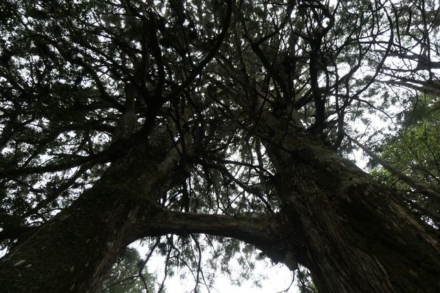 PTX_3676小.jpg