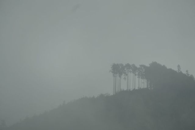 PTX_3799小.jpg