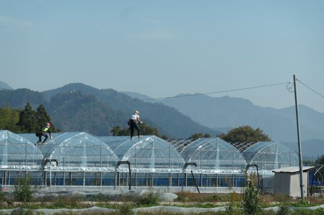 PTX_4126小.jpg