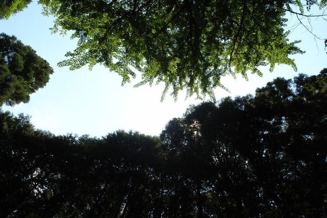 R0016749小.jpg